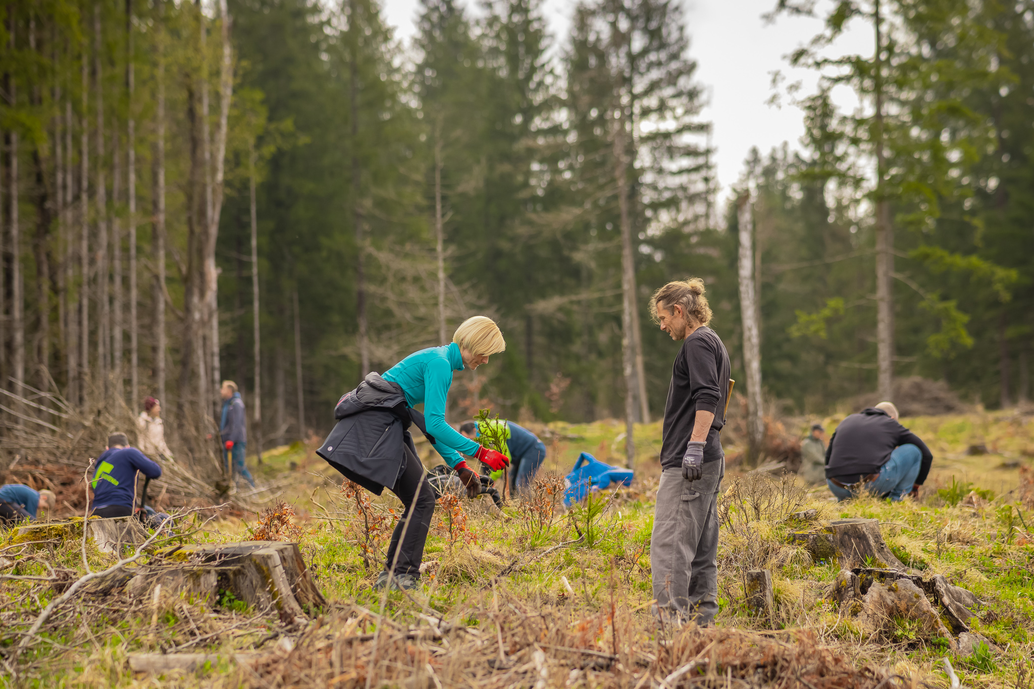 The Olympic Forests Network – a framework for nature