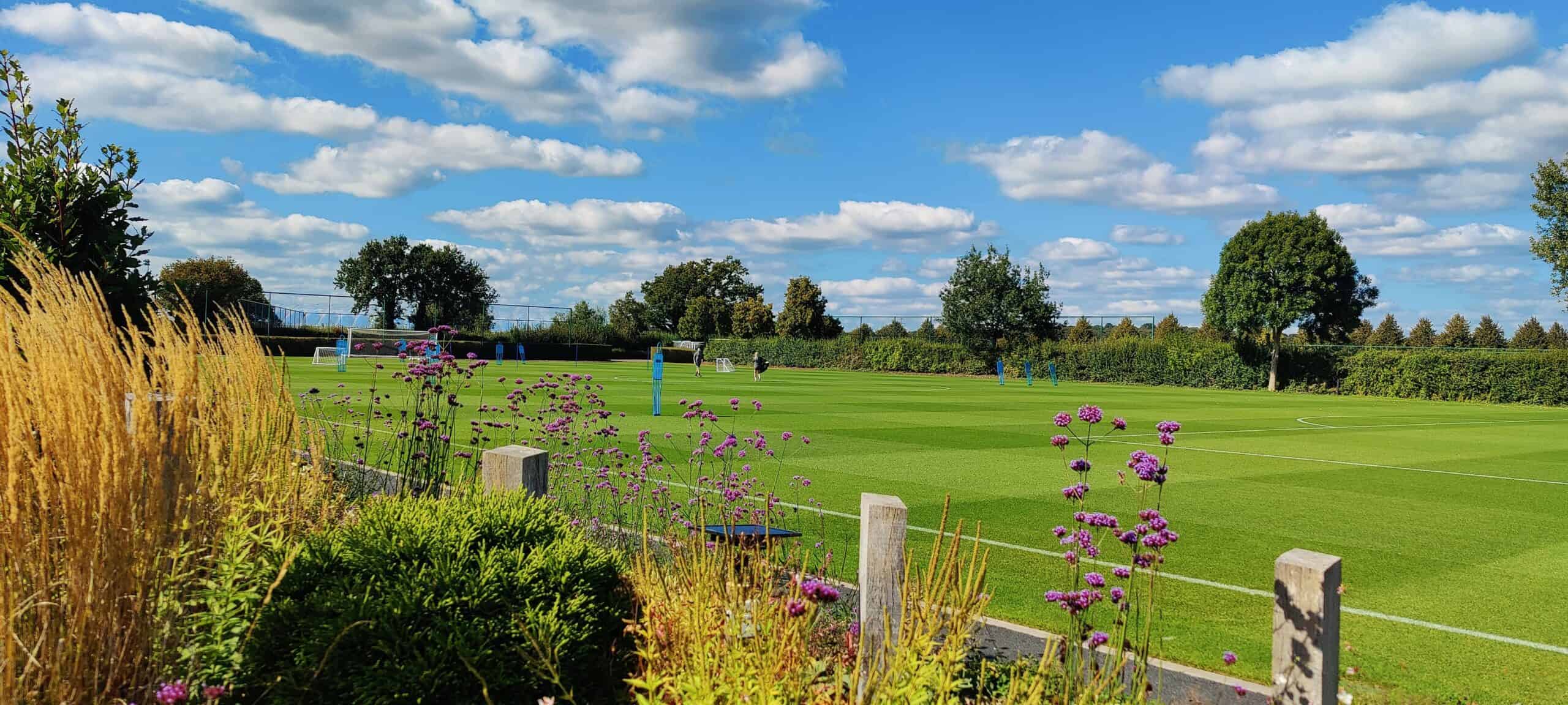 From the whistle to the dawn chorus: how Tottenham Hotspur is listening to nature to guide biodiversity action